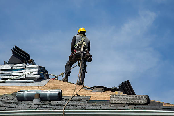 Professional Roofing technician working in Gilby, ND
